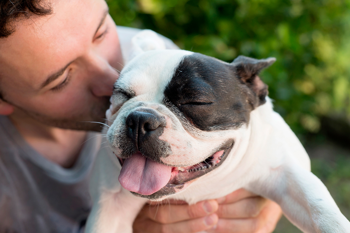 Dogs, Breeds, Dog Whisperer, Mason Vera Paine, Millennial, Dominic Hodgson