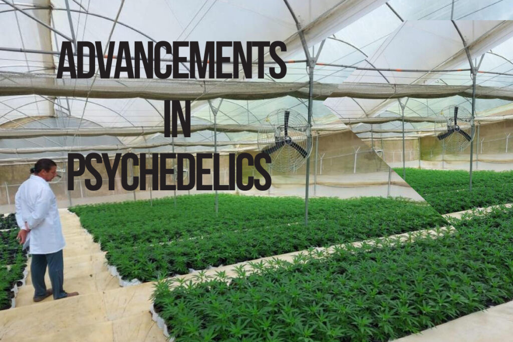Anxiety, PTSD, Depression, Addiction, CBD, Psychedelics Therapy, Psychedelics, Psychedelic Medicine, Allied Health