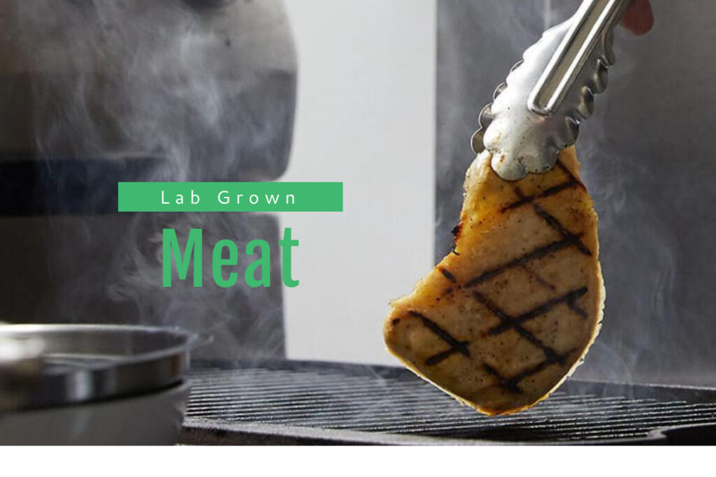 Lab Grown Dining, Meat Production, Food, Meat Production, Vegan Meat, Lab Grown Meat Lover, Is lab meat healthy?, Is lab-grown meat good for you?, Lab Grown Meat, Meat, Meat Alternatives, CULT Food Science